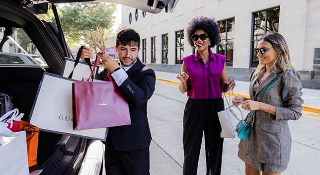 Professional Shopping Chauffeur Service for Private and Group Outings